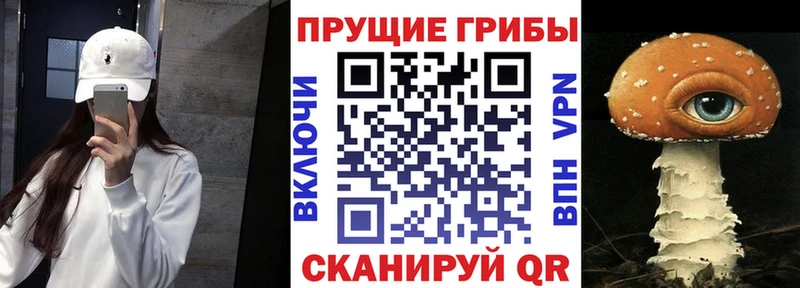 Галлюциногенные грибы мицелий  Купить  Пыталово 